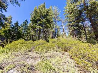 Discover the natural beauty of this property, surrounded by lush green trees and vibrant foliage.