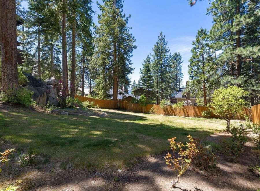 Enjoy the serene mountain lifestyle in this spacious backyard, perfect for outdoor entertaining and relaxation.
