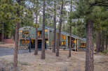 Nestled among tall pine trees, this modern home offers a serene mountain retreat.