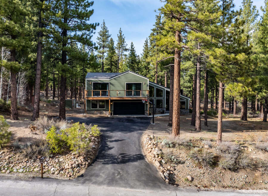 Nestled amidst towering pine trees, this modern green home offers a serene retreat.