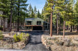 Nestled amidst towering pine trees, this modern green home offers a serene retreat.