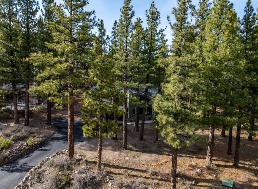 Nestled amidst a serene pine forest, this stunning property offers a tranquil retreat with its modern architecture and expansive windows.