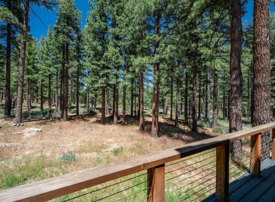 Experience the serene beauty of a pine forest from your private deck.