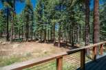 Experience the serene beauty of a pine forest from your private deck.