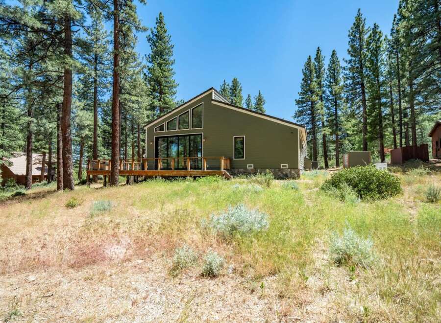 Nestled amidst tall pine trees, this modern green home offers a serene retreat.