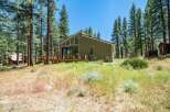 Nestled amidst tall pine trees, this modern green home offers a serene retreat.