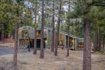 Nestled among tall pine trees, this modern home offers a serene mountain retreat.