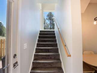 Ascend to new heights in this charming home featuring a carpeted staircase bathed in natural light from a large window overlooking mature trees.