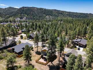 Nestled amidst a dense pine forest, this property offers a serene mountain retreat.