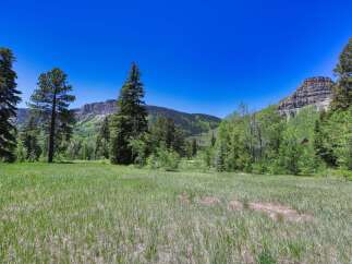 Discover this stunning property nestled amidst breathtaking mountain scenery and lush greenery.