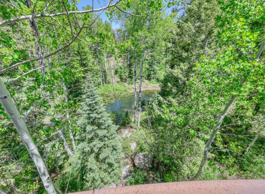 Escape to this serene natural oasis, featuring a tranquil pond surrounded by lush greenery and mature trees.