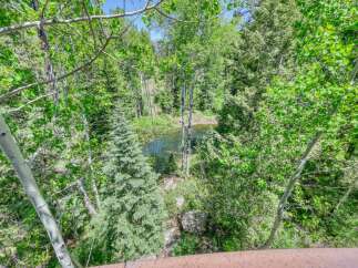 Escape to this serene natural oasis, featuring a tranquil pond surrounded by lush greenery and mature trees.