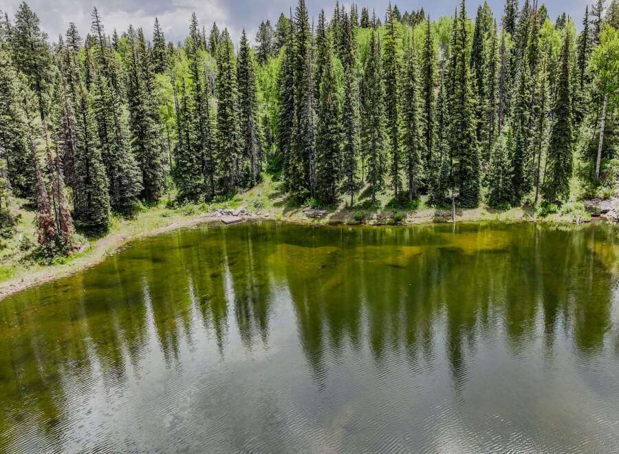 Escape to this serene mountain lake, surrounded by a dense forest of towering evergreen trees.
