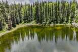 Escape to this serene mountain lake, surrounded by a dense forest of towering evergreen trees.