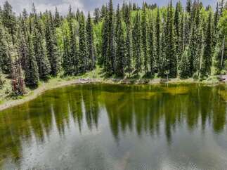 Escape to this serene mountain lake, surrounded by a dense forest of towering evergreen trees.