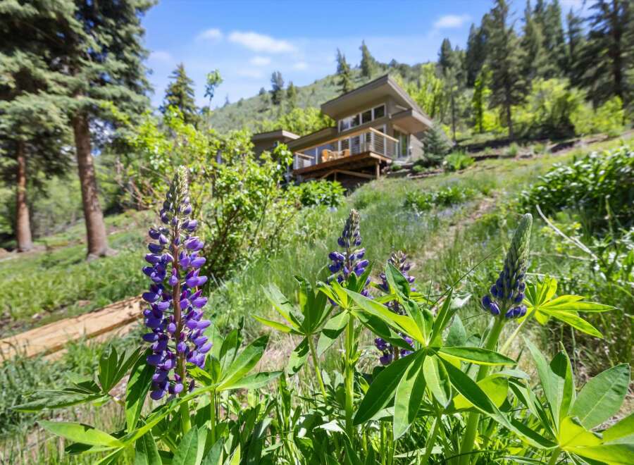 Nestled amidst lush greenery and vibrant lupines, this stunning home offers a serene mountain retreat.