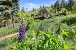 Nestled amidst lush greenery and vibrant lupines, this stunning home offers a serene mountain retreat.