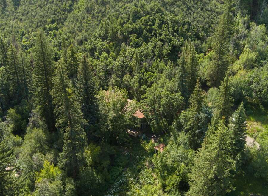 Nestled amidst a lush, verdant forest, this secluded property offers a tranquil retreat.