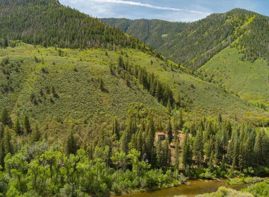 Nestled amidst rolling green hills and dense evergreen forests, this property offers a serene mountain retreat.