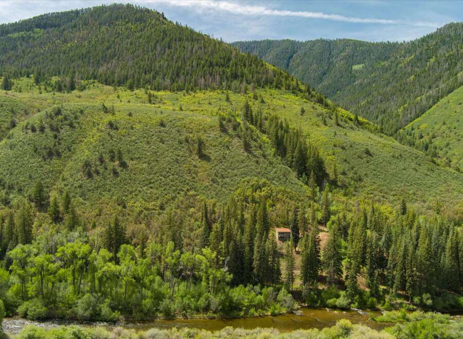 Discover this secluded cabin nestled amidst a lush forest, offering unparalleled privacy and tranquility.
