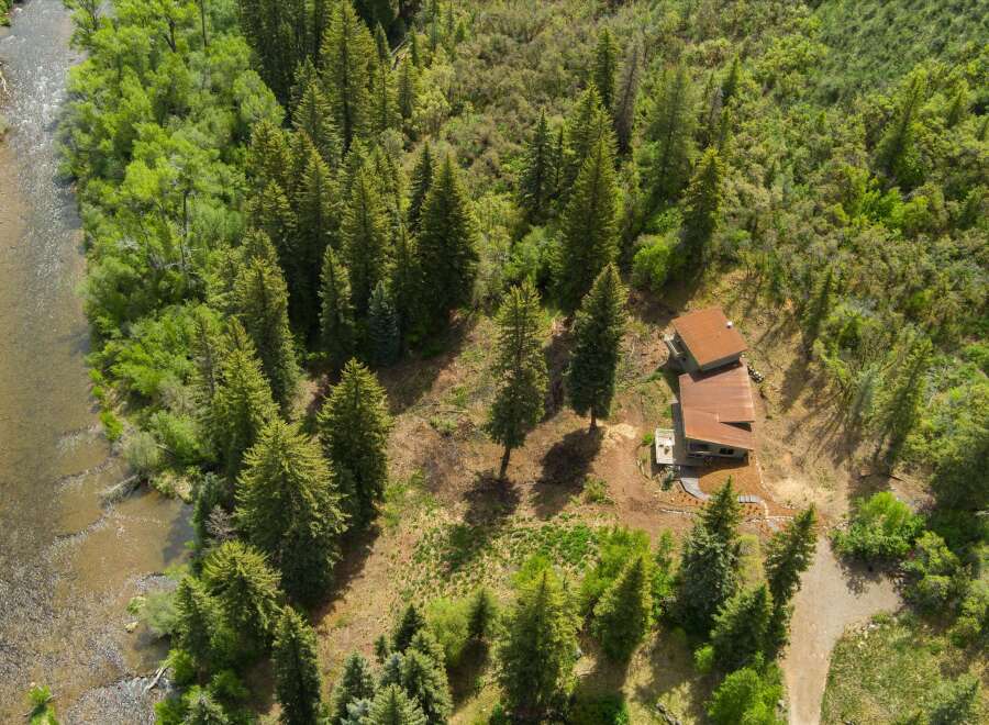 Discover this stunning modern home nestled amidst a lush forest, offering unparalleled privacy and natural beauty.