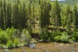 Nestled amidst a lush forest, this property offers a serene retreat with a charming cabin overlooking a tranquil river.