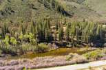 Escape to this secluded mountain retreat, nestled amongst towering pine trees and overlooking a serene river.