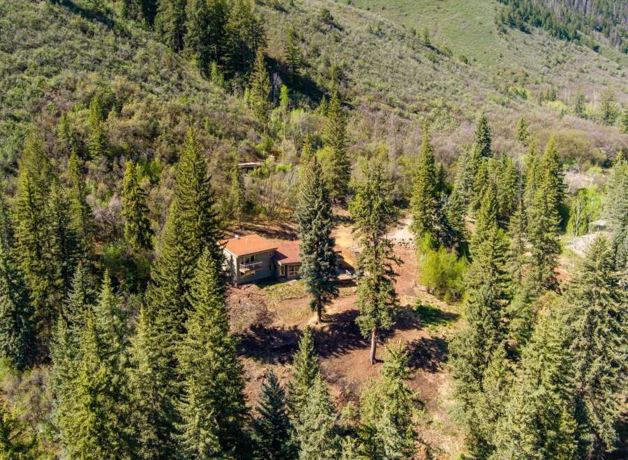 Nestled amidst a lush forest, this secluded home offers a tranquil retreat.
