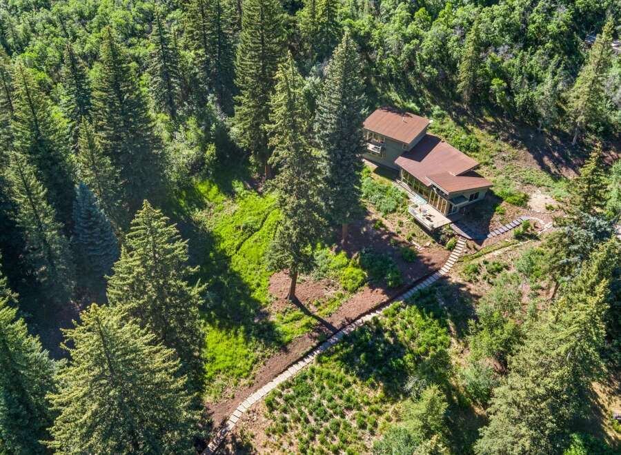 Nestled amidst a lush forest, this stunning property offers a serene retreat with its modern architecture and expansive windows.