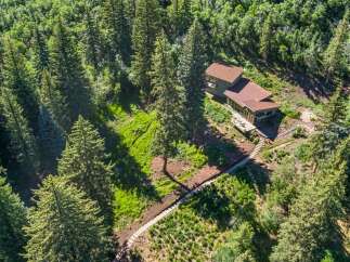 Nestled amidst a lush forest, this stunning property offers a serene retreat with its modern architecture and expansive windows.