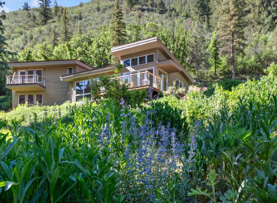 Nestled amidst lush greenery and rolling hills, this modern home offers a serene retreat.