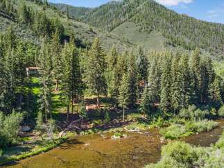 Nestled amidst a lush forest, this property offers a serene retreat with a charming house peeking through the trees.