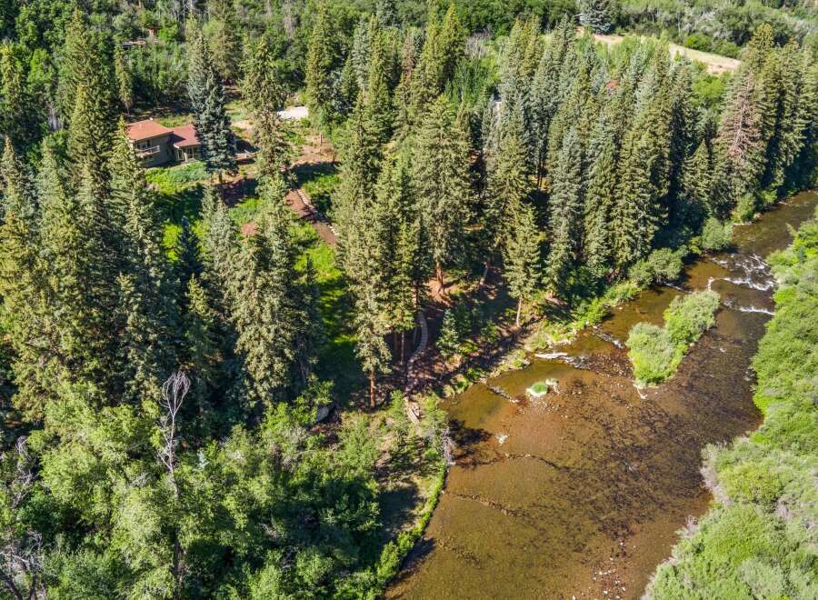 Nestled amidst a lush forest, this property boasts a charming home with a rustic appeal, offering a serene retreat.