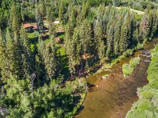 Nestled amidst a lush forest, this property boasts a charming home with a rustic appeal, offering a serene retreat.
