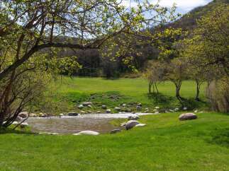 Discover serene living with this charming property featuring a tranquil pond surrounded by lush green lawns and mature trees.