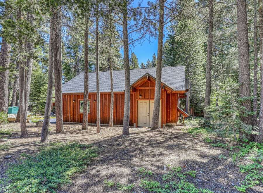 Nestled amongst tall pine trees, this charming wooden cabin offers a serene retreat.