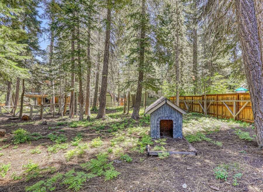 Nestled within a serene forest setting, this property offers a charming backyard with a quaint doghouse, perfect for your furry companions.