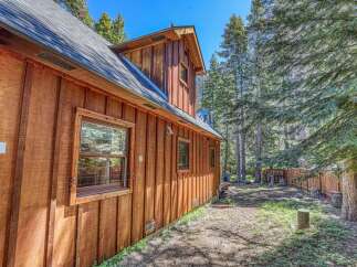 Nestled amidst tall pine trees, this charming wooden cabin offers a serene retreat.