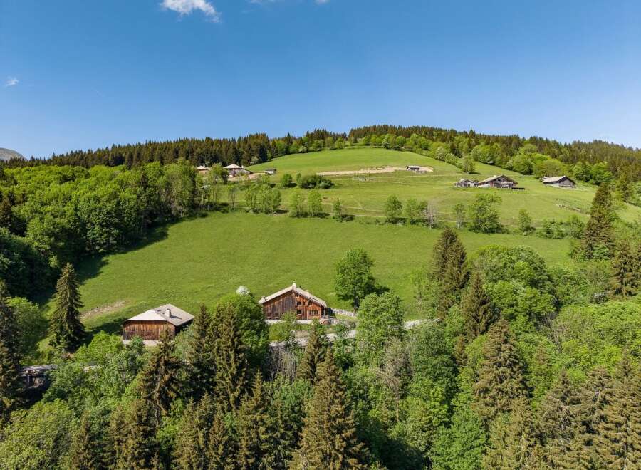 Discover this charming property nestled in a serene mountain landscape, featuring traditional wooden chalets surrounded by lush green meadows and dense pine forests.