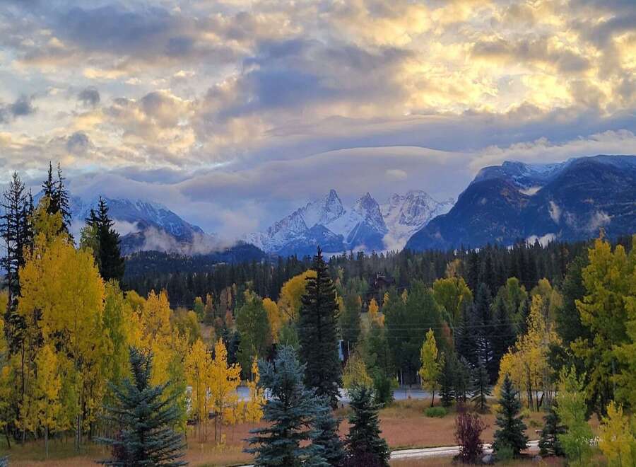 Experience the breathtaking beauty of autumn from this stunning property, nestled amidst vibrant golden aspen trees and majestic snow-capped mountains.