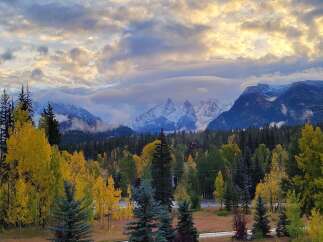 Experience the breathtaking beauty of autumn from this stunning property, nestled amidst vibrant golden aspen trees and majestic snow-capped mountains.