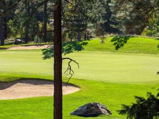 Experience the beauty of this meticulously maintained golf course, featuring lush green fairways and strategically placed sand traps.
