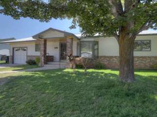 Discover this charming home featuring a welcoming porch with brick accents and a spacious front lawn perfect for outdoor enjoyment.