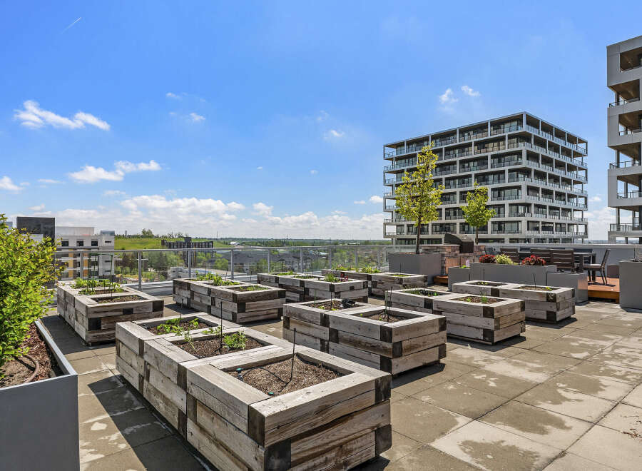 Experience urban gardening at its finest on this stunning rooftop terrace, complete with raised garden beds perfect for cultivating your own produce.