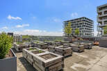 Experience urban gardening at its finest on this stunning rooftop terrace, complete with raised garden beds perfect for cultivating your own produce.