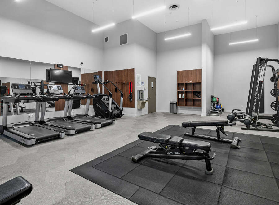 This modern gym features a variety of cardio equipment, including treadmills and a stair climber, perfect for your daily workout routine.
