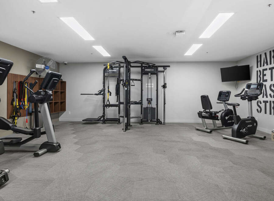 This modern gym features a variety of cardio and strength training equipment, including elliptical machines, stationary bikes, and a functional trainer.