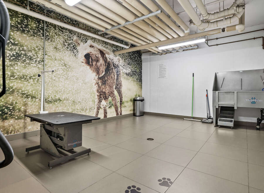 Discover this pet-friendly apartment amenity, featuring a professional grooming station with a walk-in tub and adjustable grooming table.