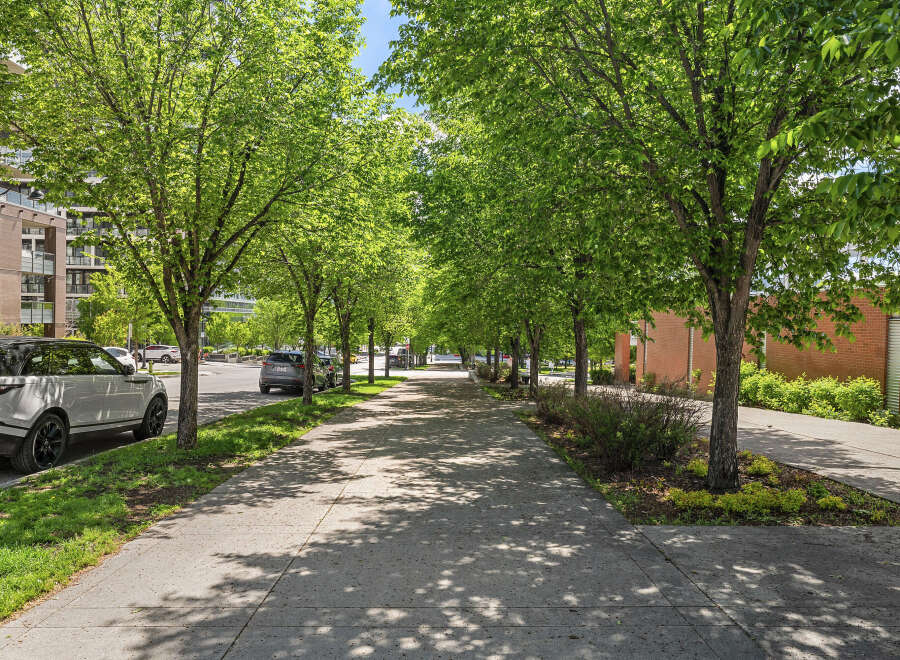Enjoy a stroll down this tree-lined sidewalk, perfect for morning walks or evening relaxation.