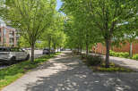 Enjoy a stroll down this tree-lined sidewalk, perfect for morning walks or evening relaxation.